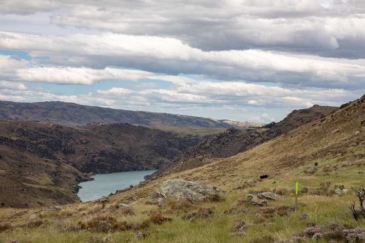 State Highway 8 Shingle Creek_15