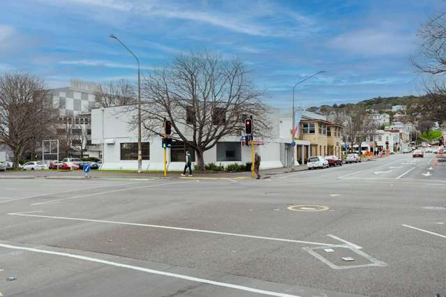 58 Albany Street North Dunedin_4