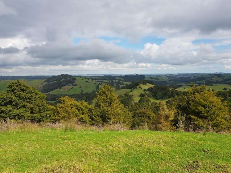 504 Wairere Road Paparoa_34