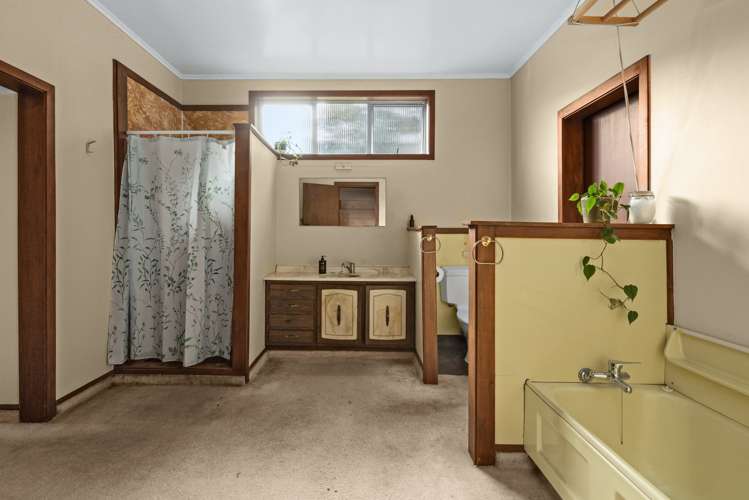 17 Fitzroy Road Bluff Hill_7