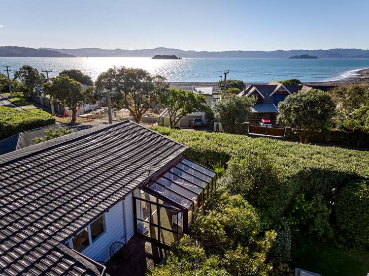 447 Muritai Road Eastbourne_27