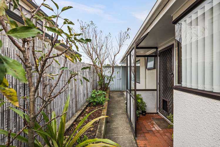 54a Menin Road Onekawa_11