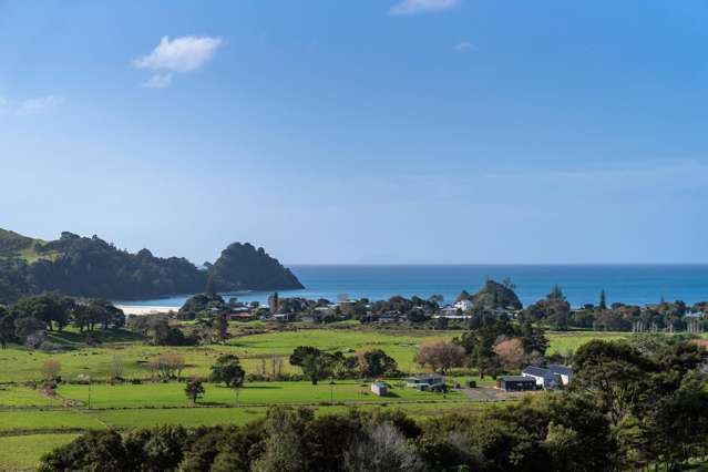 151F Te Punga Road Whangapoua_3
