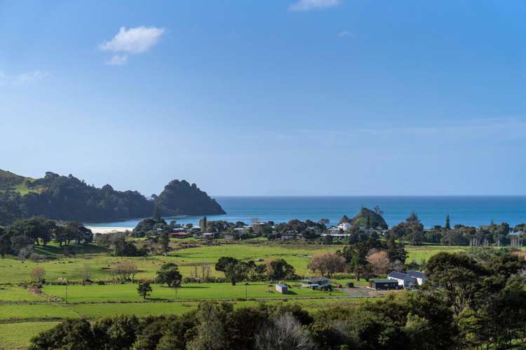 151F Te Punga Road Whangapoua_2
