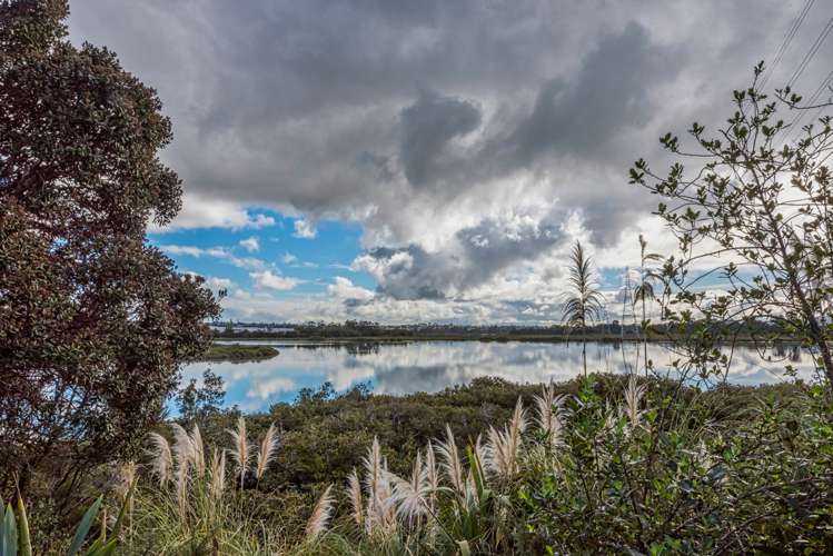 16 Maple Street Avondale_19