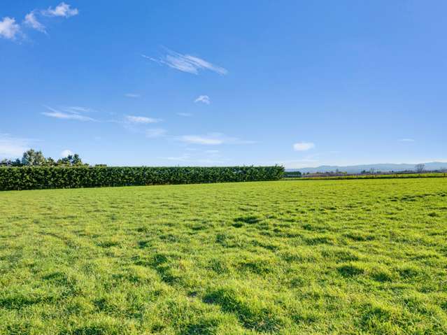 21 Dominion Road Timaru_3