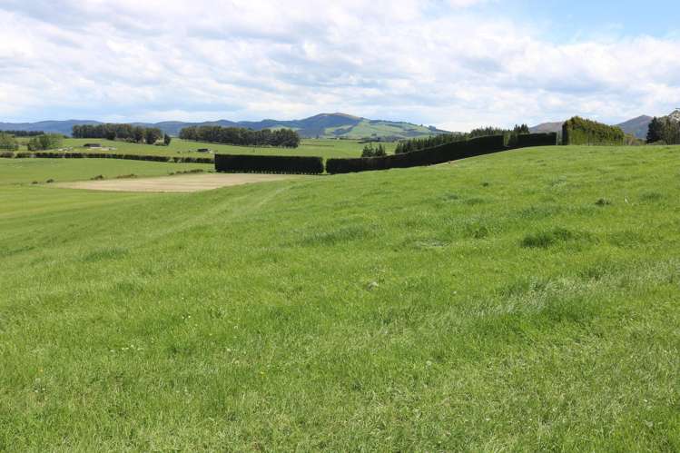 669B Waimumu Road Gore_5