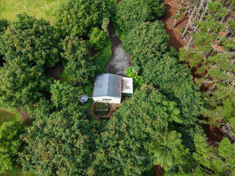 14 Tupelo Place Ohauiti_47