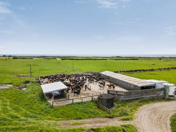 266 Pungarehu Road Pungarehu_5