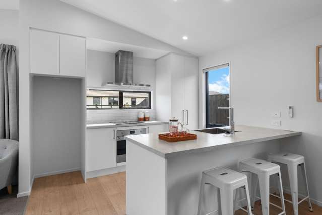 15 Mccahon Lane Rolleston_1