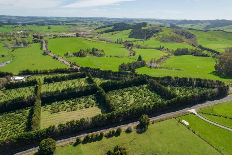 908A Te Ahu Ahu Road, Waimate North Kerikeri_27