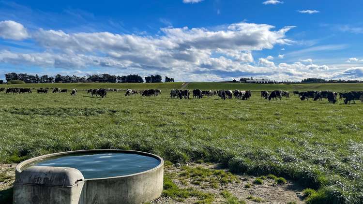 426 Argyle Otahuti Road Waianiwa_3