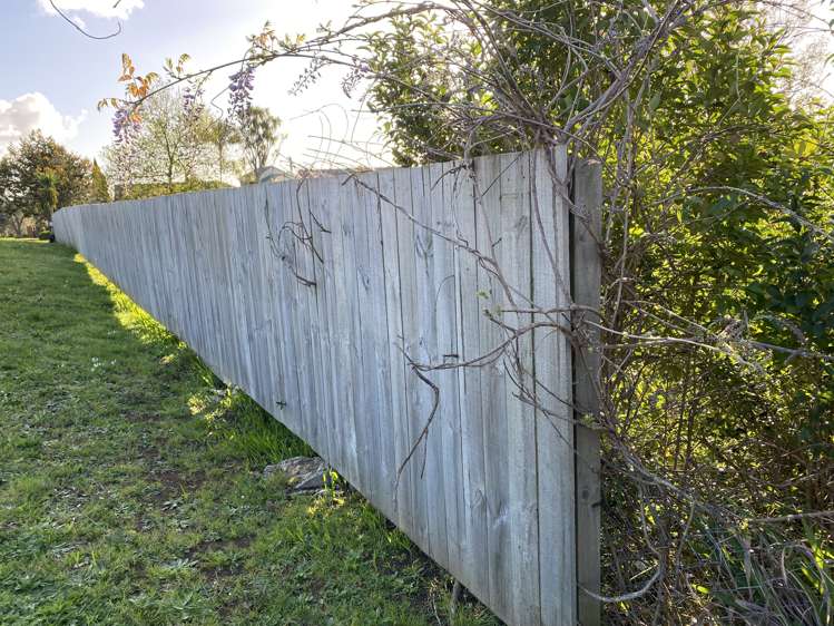 78 Red Hill Road Red Hill_5