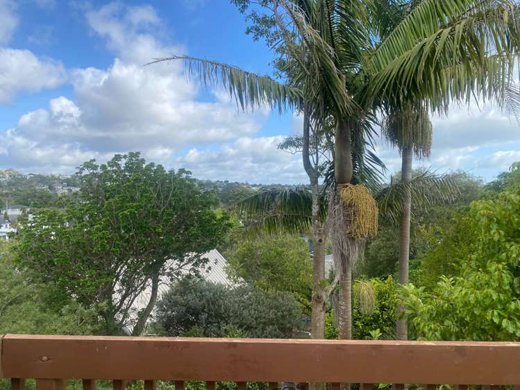 68A Newhaven Terrace Mairangi Bay_2