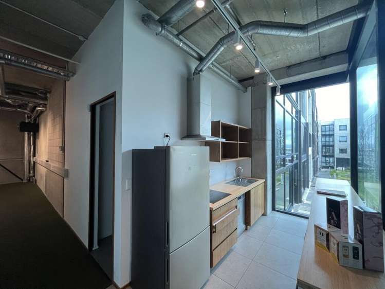 5 Crummer Road Grey Lynn_10