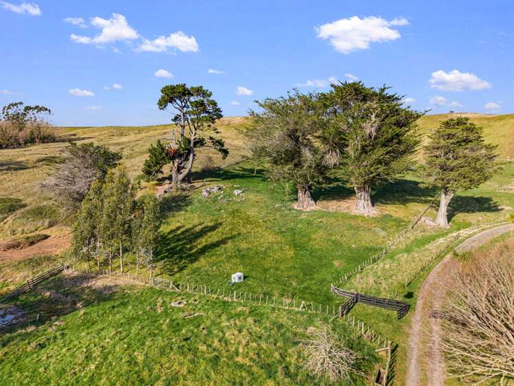 4, 127 Ongaonga Road Waipawa_3