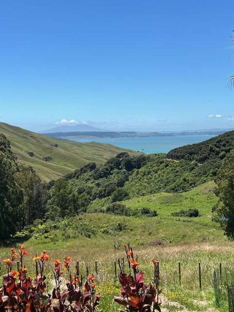 Whakapirau Road Kawhia_16