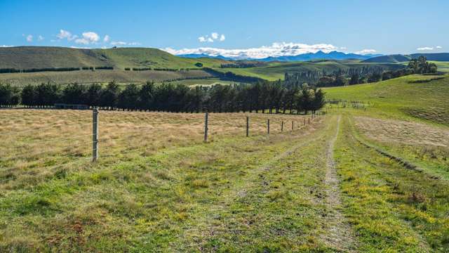 557 Pyramid Valley Road Pyramid Valley_3