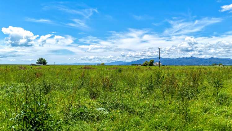 54 Arawa Street Pipiroa_23