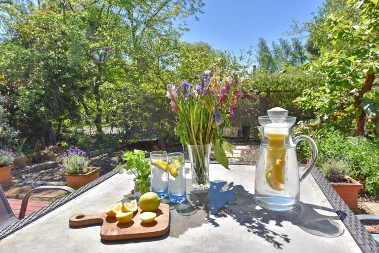 60 Allin Drive Waikuku Beach_35