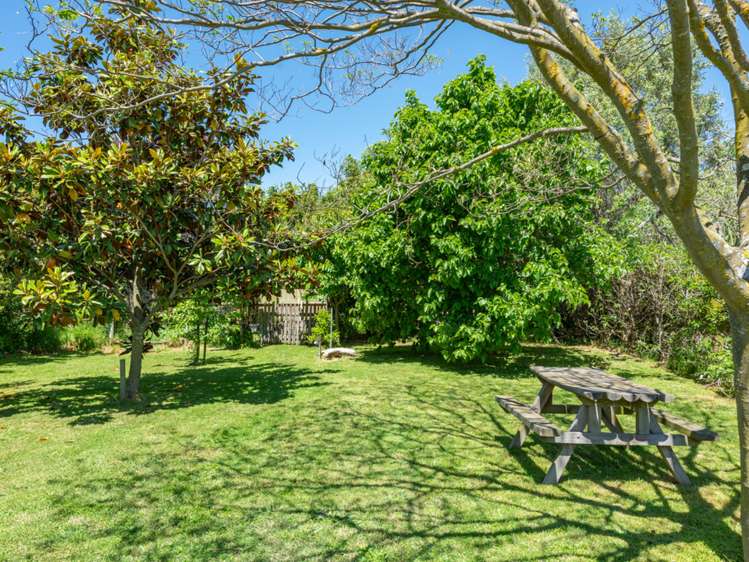 77 Havelock Street Renwick_19