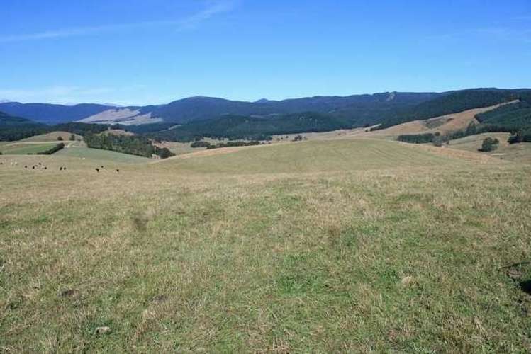 246 Howard Valley Road Kahurangi National Park_15