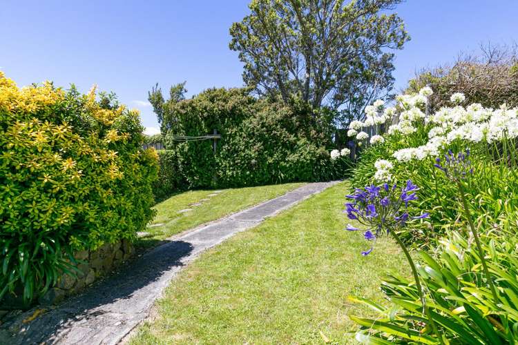 17 Trebann Street Paparangi_18