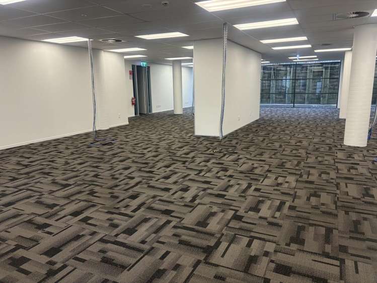 2A Rothwell Avenue Albany_7