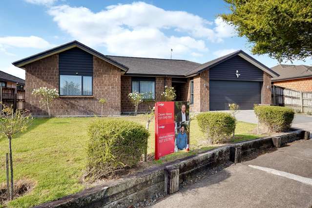 15 Te Ironui Place Huntington_1