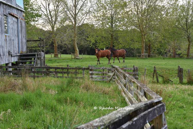 726 Paparoa Station Road Maungaturoto_31