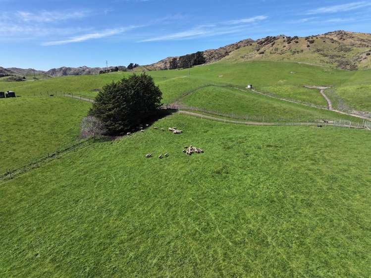 512 Karaka Road Waikari_6