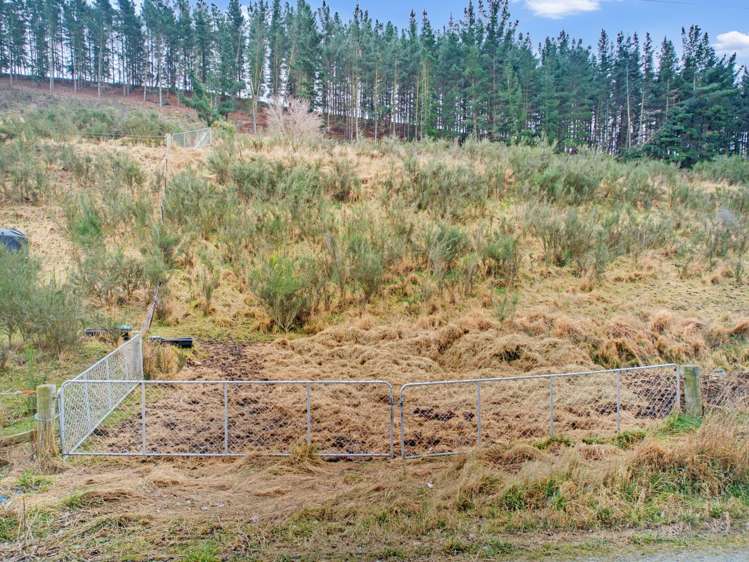 Diggers Gully Road Kurow_19