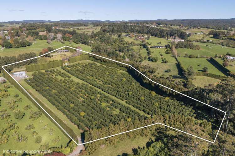 480C Youngson Road Whakamarama_34