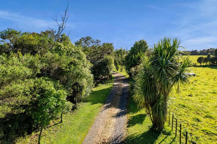 125 Bedford Road Kaimiro_13