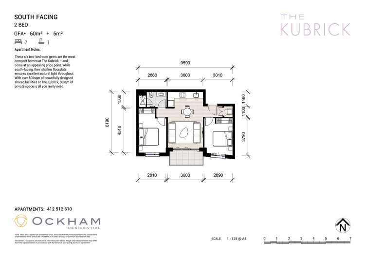 8 Pratt Street Freemans Bay_13