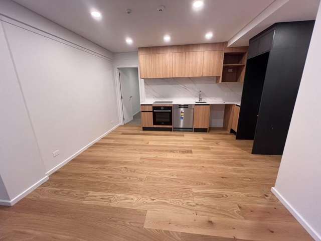 122/8 Meadowbank Road 1723_4