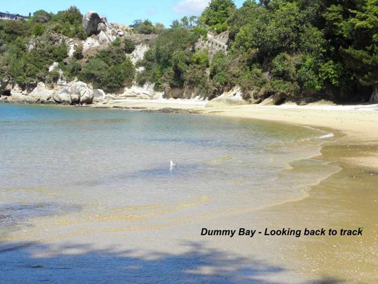 4 Tarepa Court Kaiteriteri_18