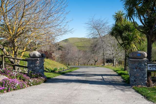 201 Breckenridge Road Puketapu_3