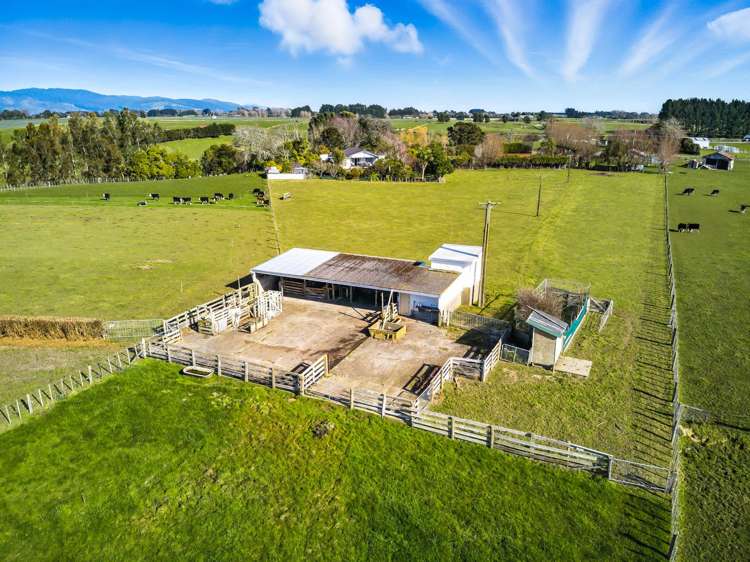 208 Kukutauaki Road Koputaroa_7