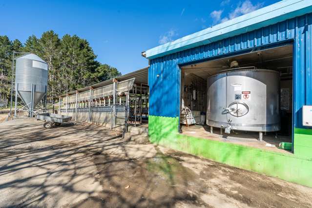 1026 Limeworks Loop Road Te Pahu_4