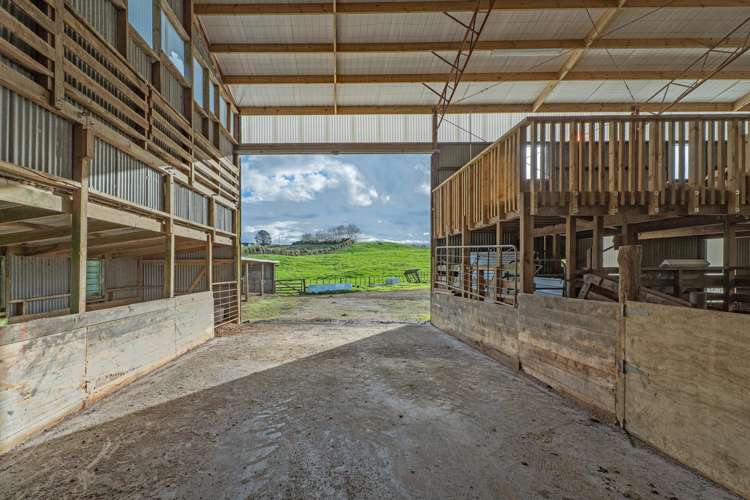 165 McBeth Road Hikuai_12