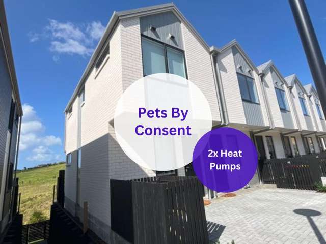 Light, Bright & Low-Maintenance – Your Modern Orewa Haven