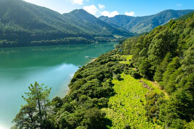 Four Fathom Bay Kenepuru Sound_8