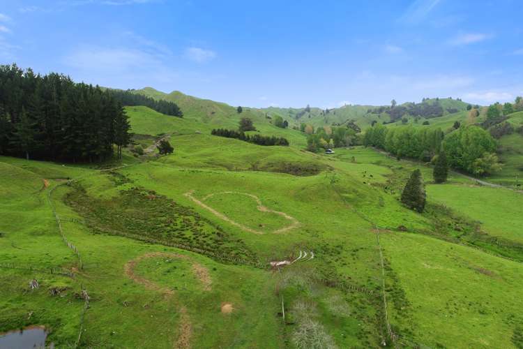 205 Tunanui Road Owhango_22