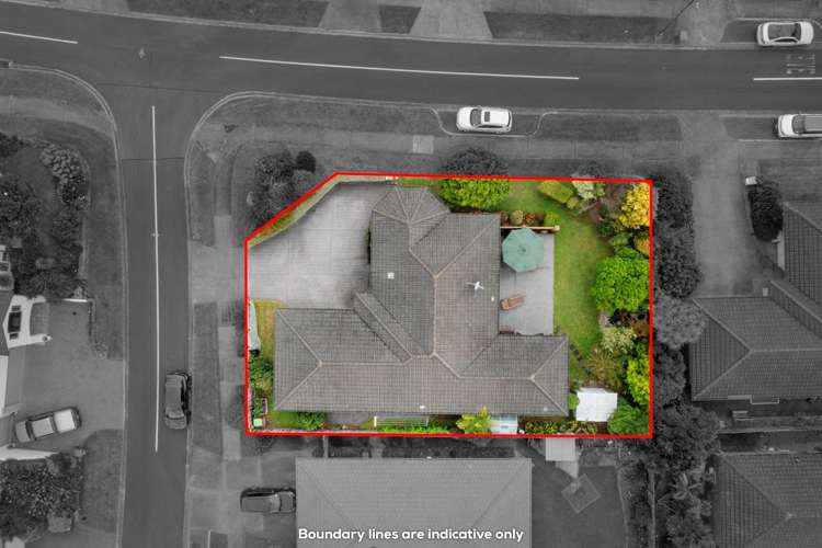 23 Highfields Terrace Henderson_28