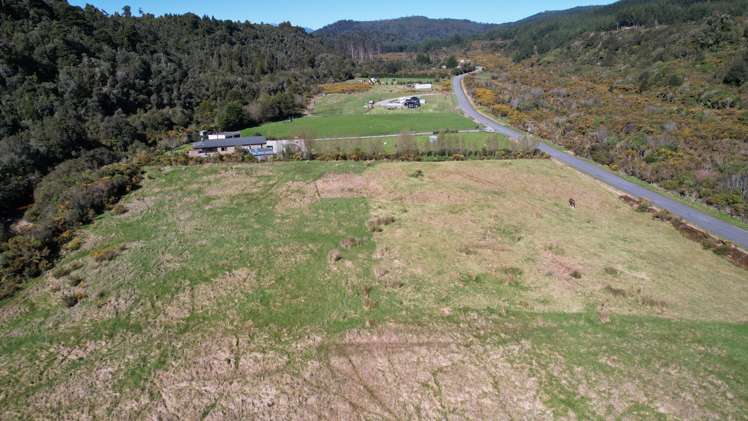 Blue Spur Road Hokitika_1
