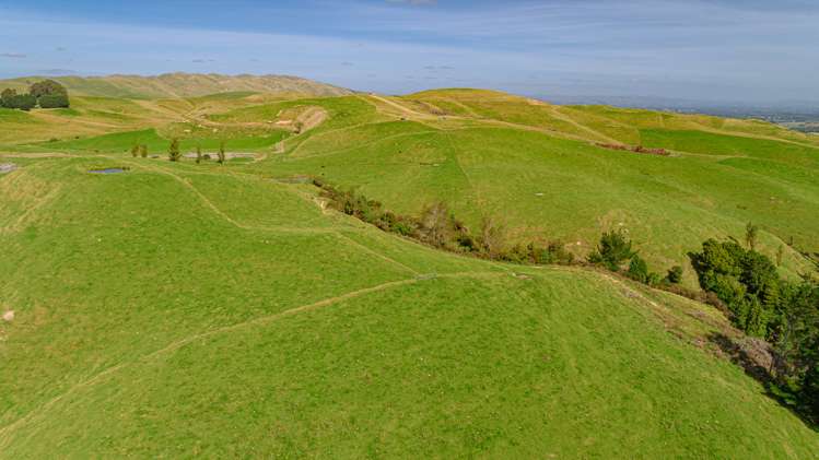 1094 Opaki Kaiparoro Road Rangitumau_13