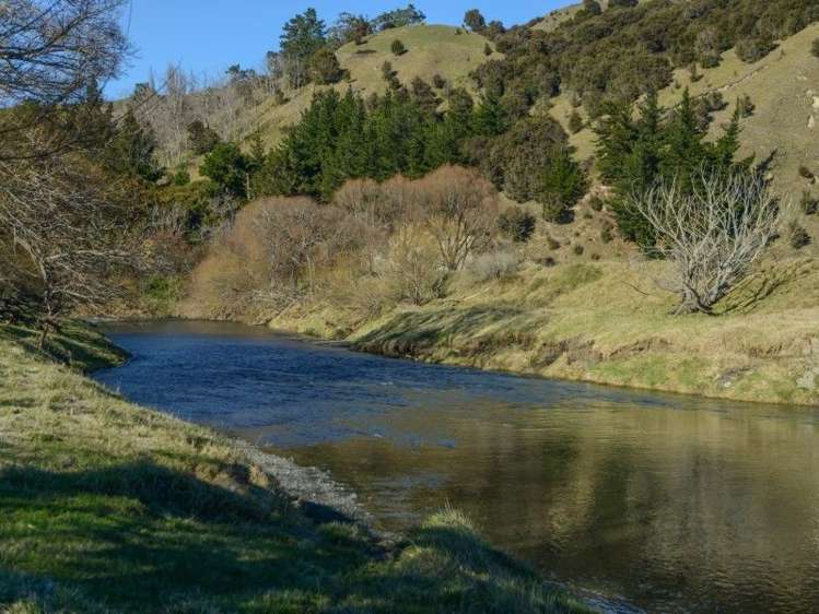 64 Waipunga Road Eskdale_9