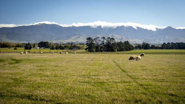 595 East Taratahi Road East Taratahi_2