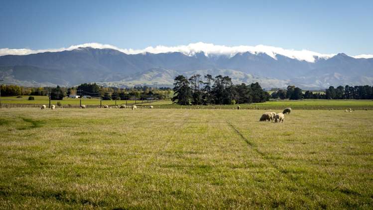595 East Taratahi Road East Taratahi_1